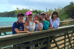 IWC-Walking-Jan-2015