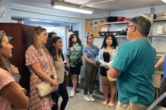 New Islanders at BAMZ